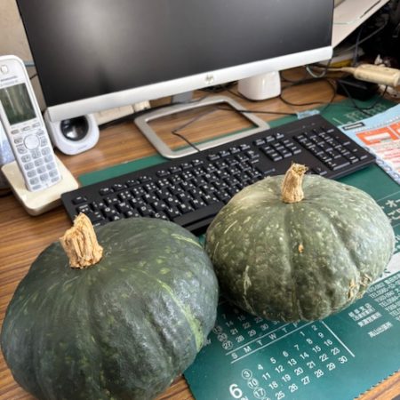 デッカイかぼちゃ頂きました